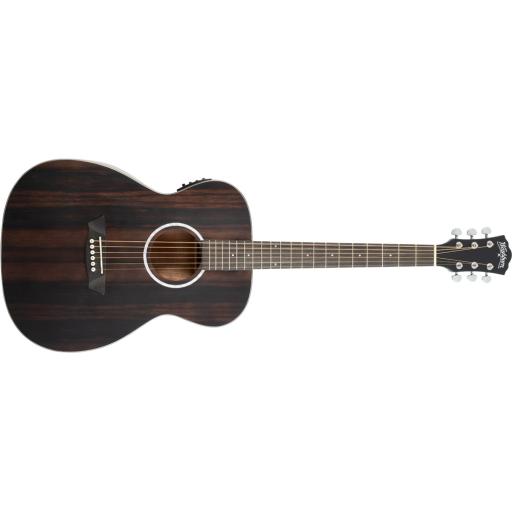 Washburn Deep Forest Ebony D ElectroAcoustic Guitar
